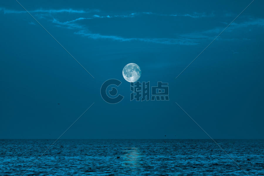 静谧的月圆之夜图片素材免费下载