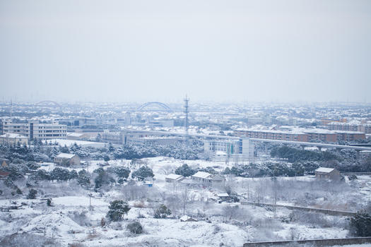 南方城市雪景图片素材免费下载