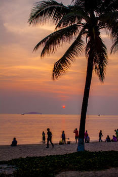 海滩黄昏中的椰树图片素材免费下载