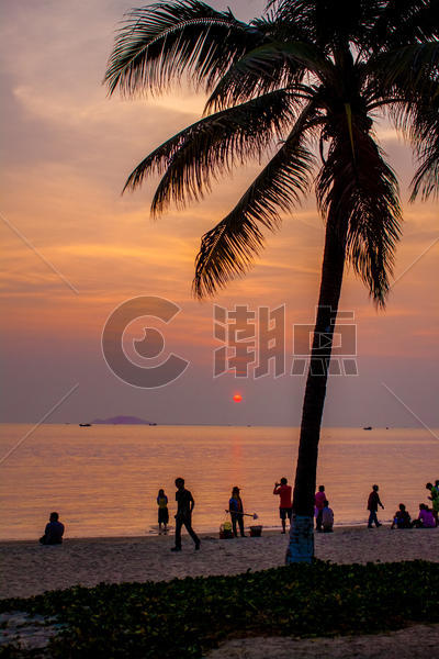 海滩黄昏中的椰树图片素材免费下载