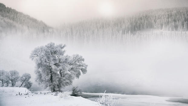 雾凇雪景图片素材免费下载