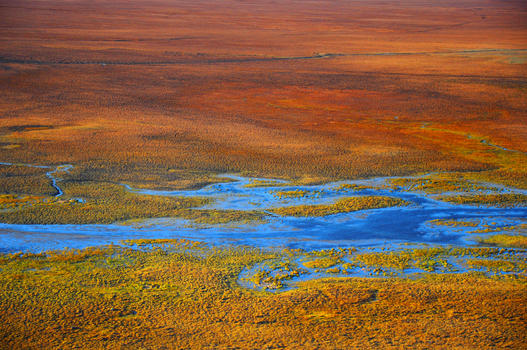 新疆巴音布鲁克沼泽风光摄影图片素材免费下载