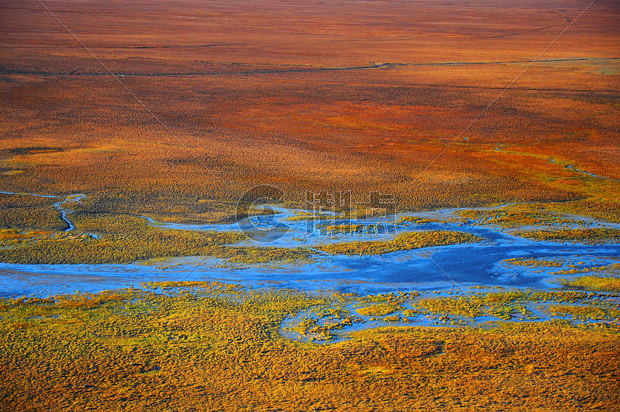 新疆巴音布鲁克沼泽风光摄影图片素材免费下载