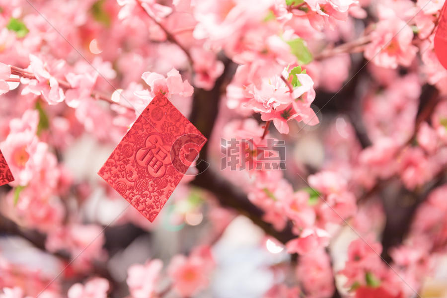 新年挂在桃树上的红包图片素材免费下载