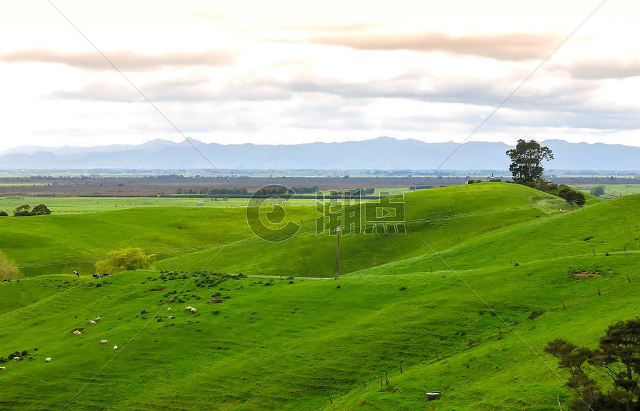 新西兰田园风光图片素材免费下载