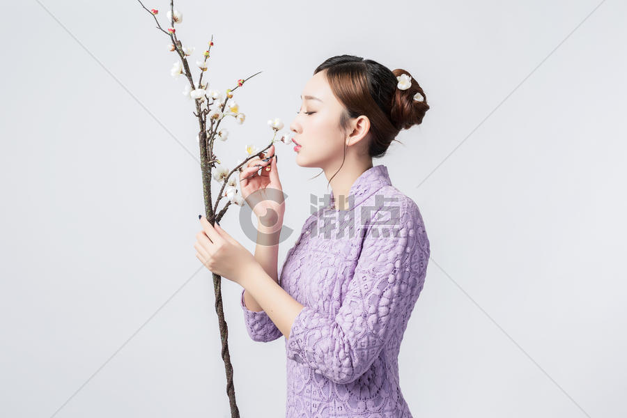 紫色旗袍美女与梅花图片素材免费下载