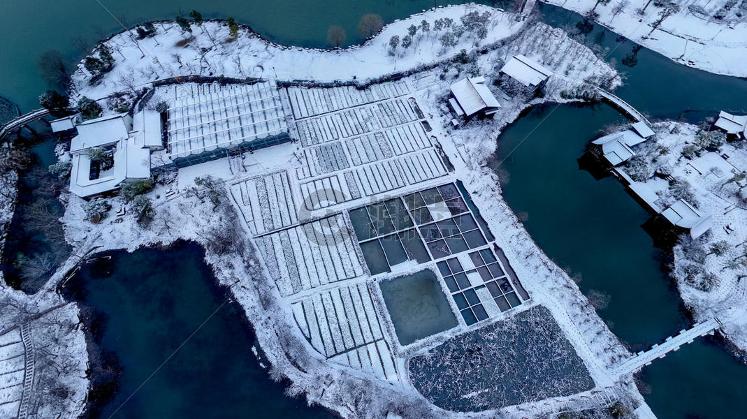 湘湖雪景图片素材免费下载