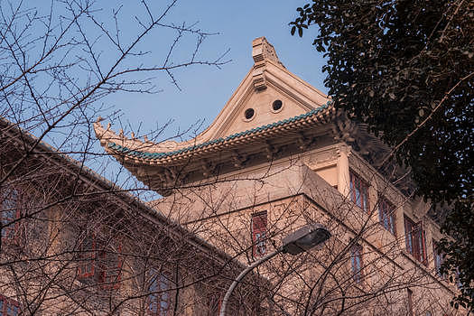武汉大学樱顶图片素材免费下载