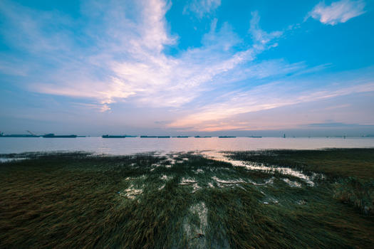 上海吴淞湿地公园日出图片素材免费下载