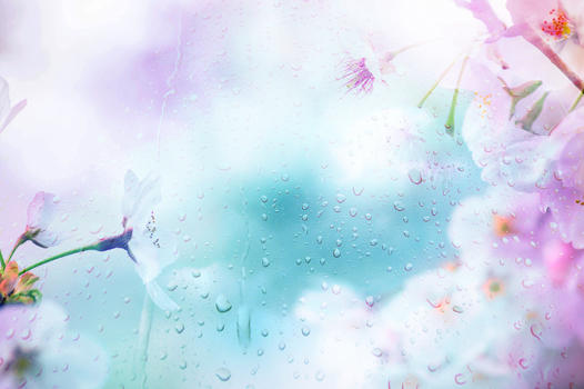樱花雨滴创意背景图图片素材免费下载