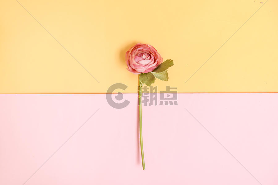 一支玫瑰花图片素材免费下载
