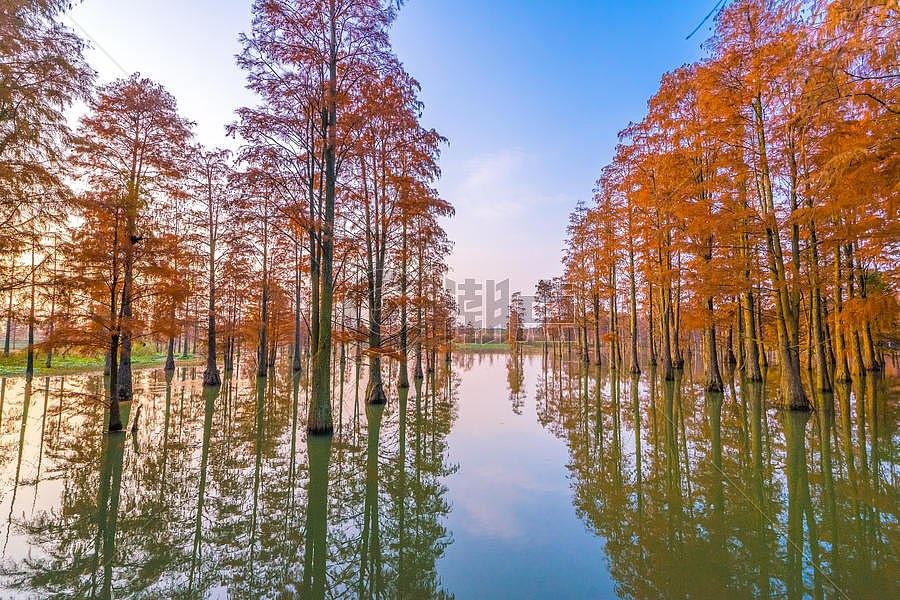 上海青西郊野公园自然风光图片素材免费下载