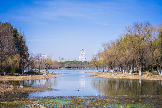 上海世纪公园踏青图片素材免费下载