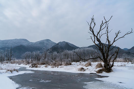 神农架大九湖雪景图片素材免费下载