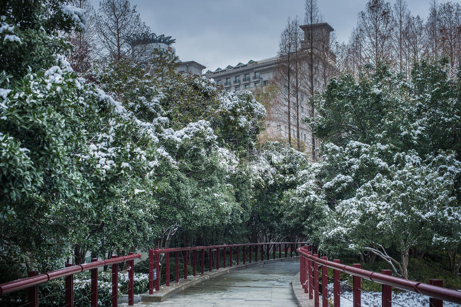 雪中的上海古城公园休闲步道图片素材免费下载