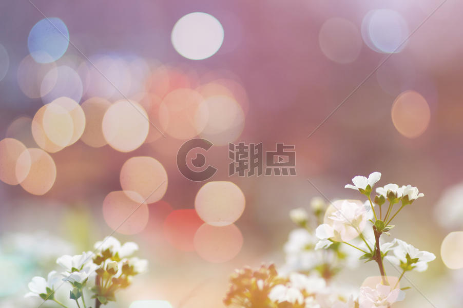 花朵光斑背景图图片素材免费下载
