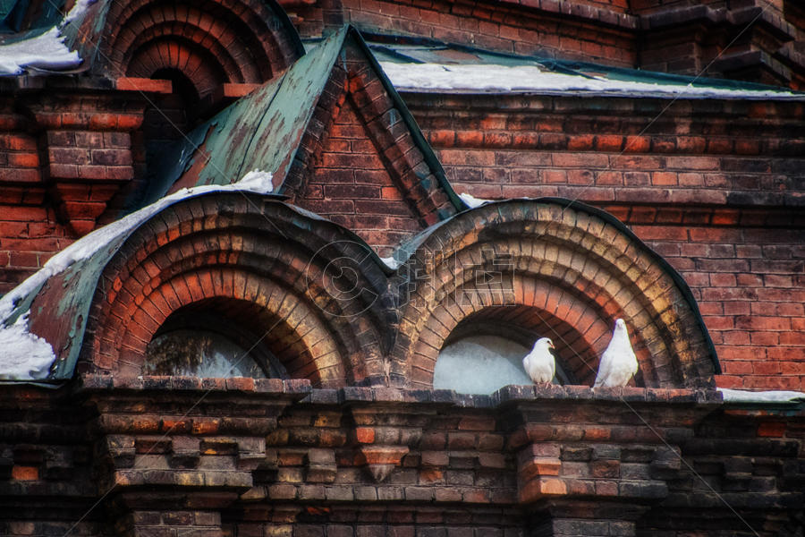 哈尔滨圣索菲亚大教堂上的白鸽图片素材免费下载