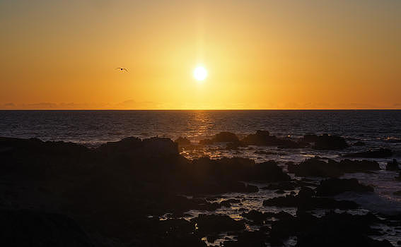 太平洋日落图片素材免费下载