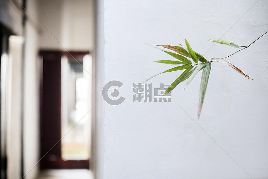 中国元素的植物素材图片素材免费下载