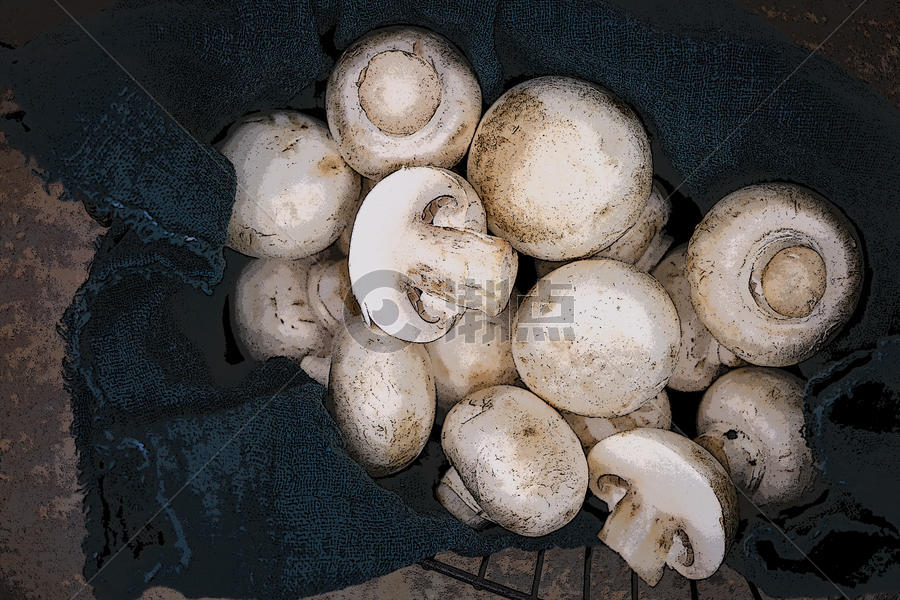 营养丰富的蘑菇图片素材免费下载