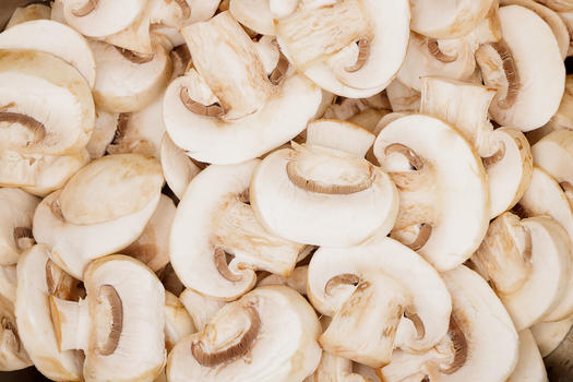 营养丰富的蘑菇图片素材免费下载