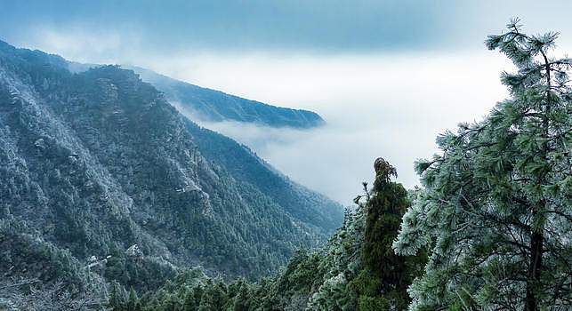 江西庐山景区雾凇美图图片素材免费下载