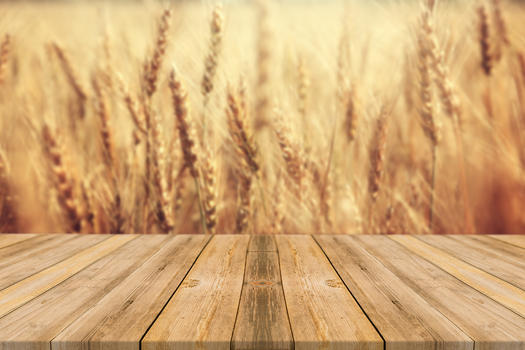 麦子背景桌面图片素材免费下载