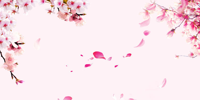 粉色桃花背景图片素材免费下载