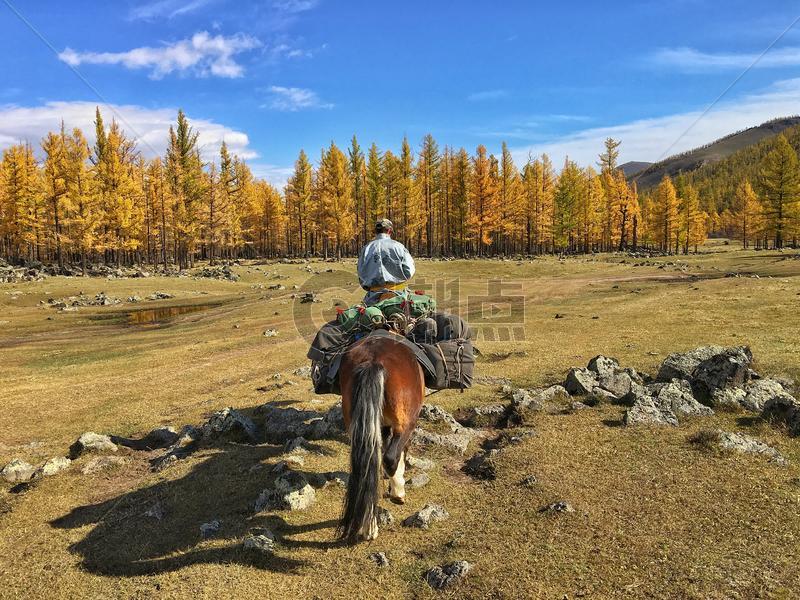 秋天金色草原上骑马的人图片素材免费下载
