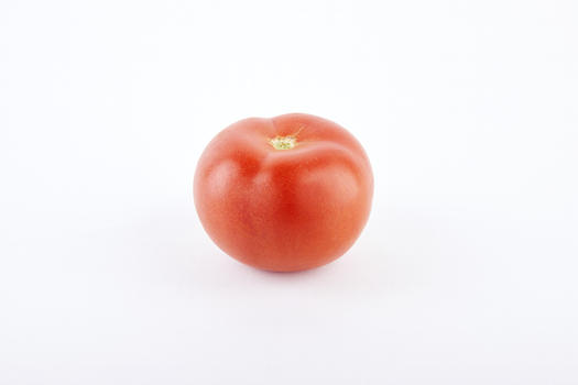 一只番茄图片素材免费下载