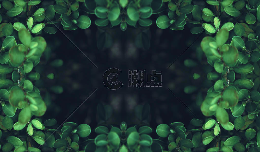 绿色植物背景图片素材免费下载