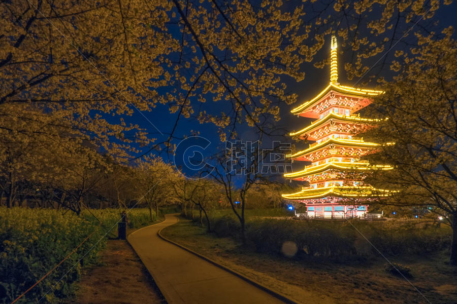 武汉东湖樱园夜樱图片素材免费下载