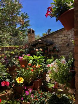 开满鲜花的庭院图片素材免费下载