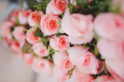 粉色玫瑰花背景图片素材免费下载
