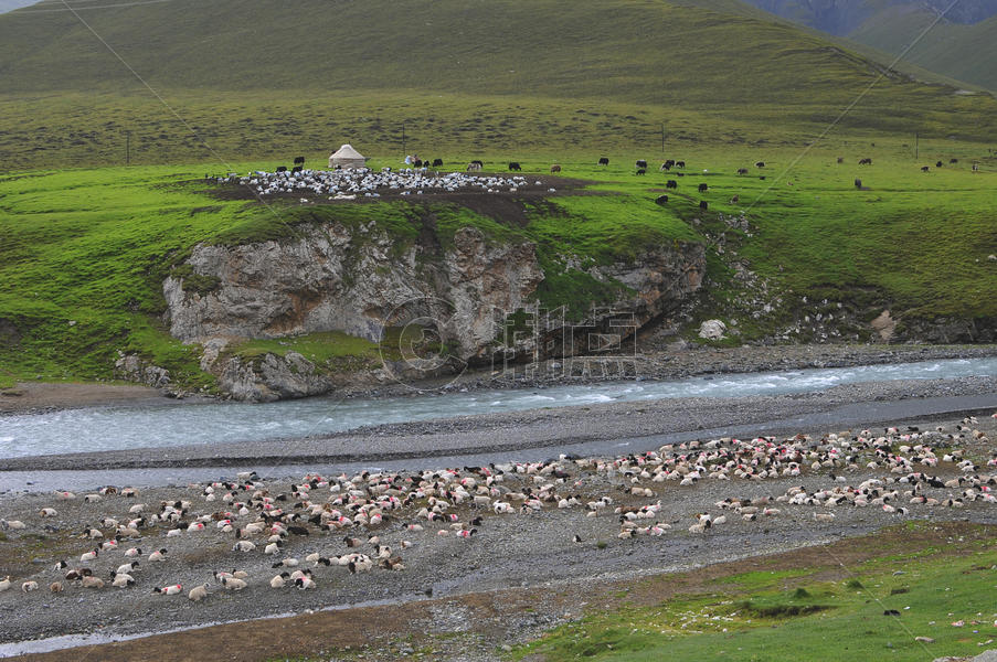 新疆天山牧业草场图片素材免费下载