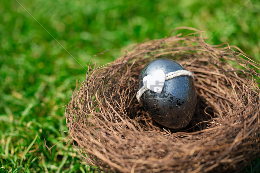 草地上的复活节彩蛋图片素材免费下载