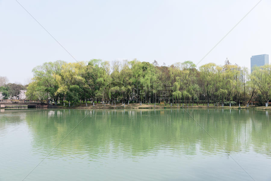 春天公园湖泊游玩风景图片素材免费下载