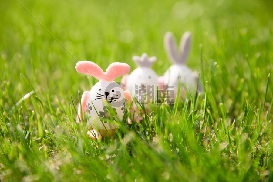 阳光下草地上的复活节彩蛋图片素材免费下载