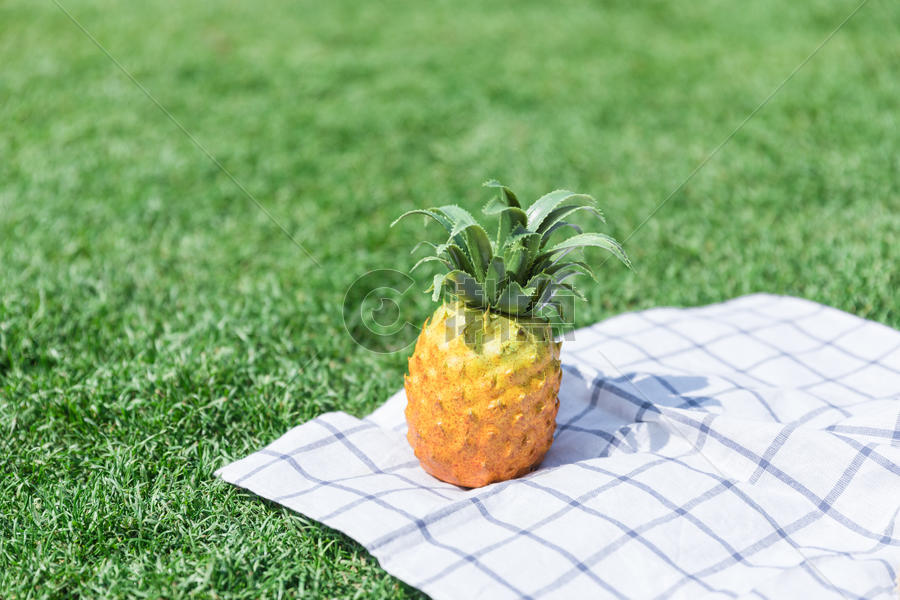 草地野餐布上的水果菠萝图片素材免费下载