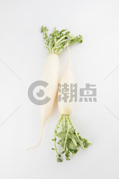 白萝卜蔬菜图片素材免费下载