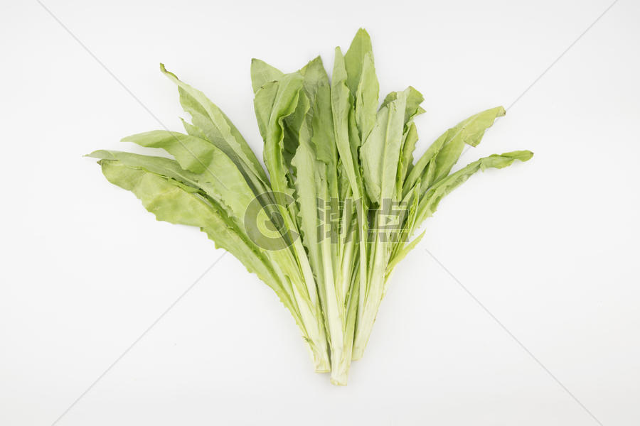 油麦菜绿色蔬菜图片素材免费下载