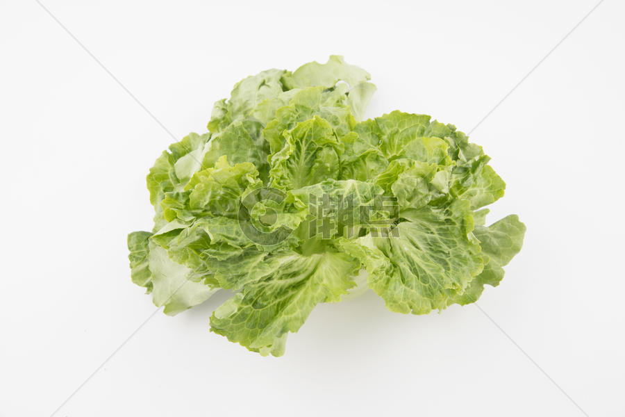 生菜绿色蔬菜图片素材免费下载