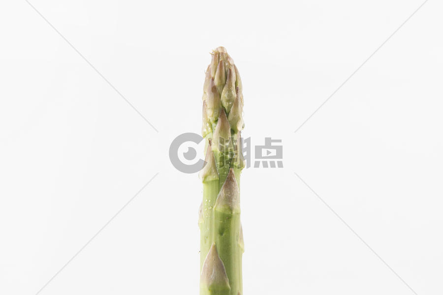 芦笋蔬菜图片素材免费下载