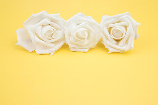 白色仿真玫瑰花图片素材免费下载