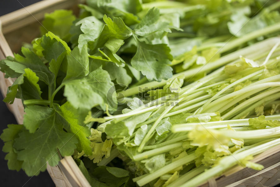 绿色食品芹菜图片素材免费下载