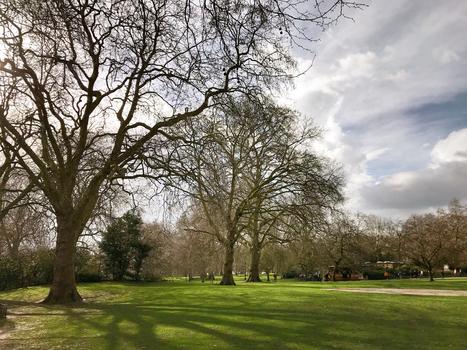 伦敦公园风景图片素材免费下载