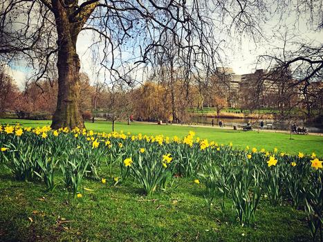 伦敦公园风景图片素材免费下载