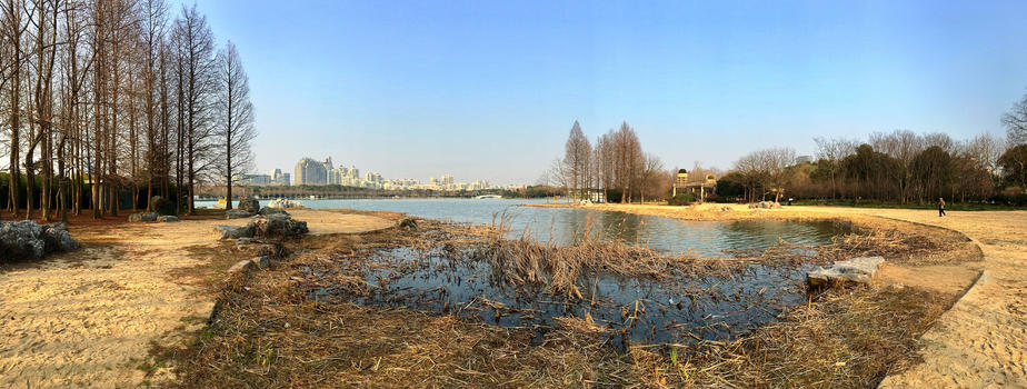 上海世纪公园风光图片素材免费下载