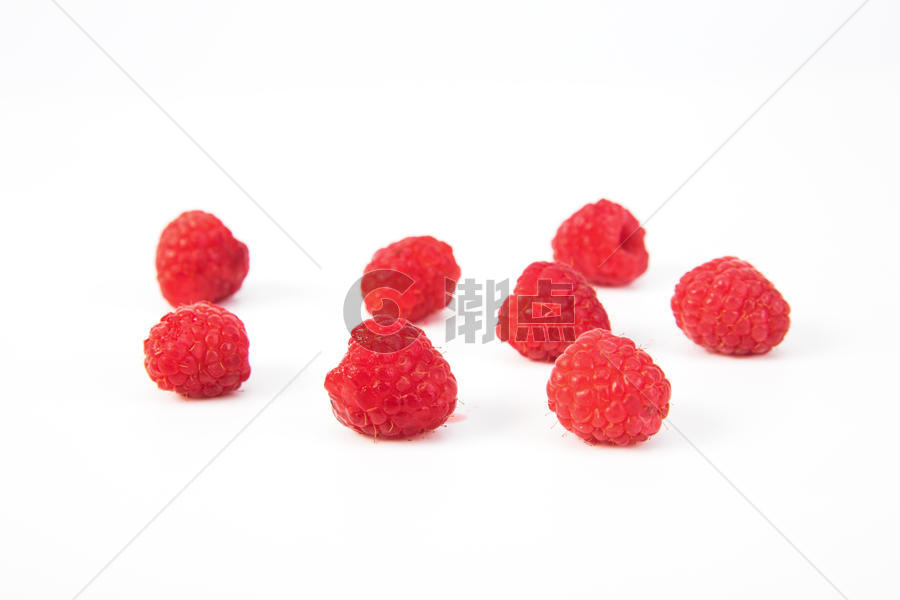 红树莓图片素材免费下载