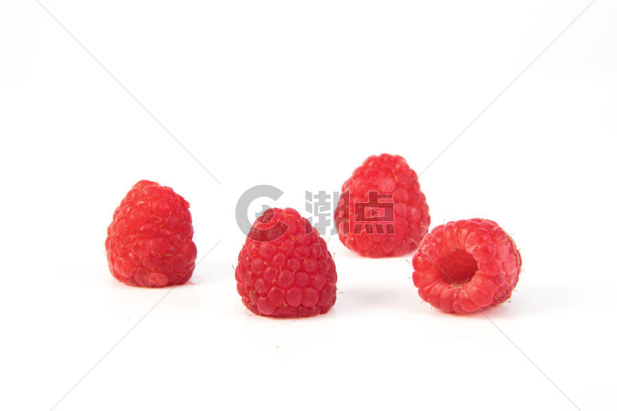 红树莓图片素材免费下载